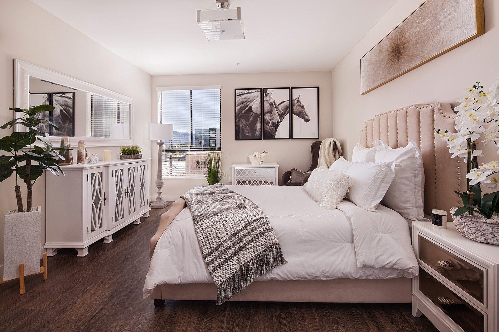 NoHo 5500 Photo Gallery