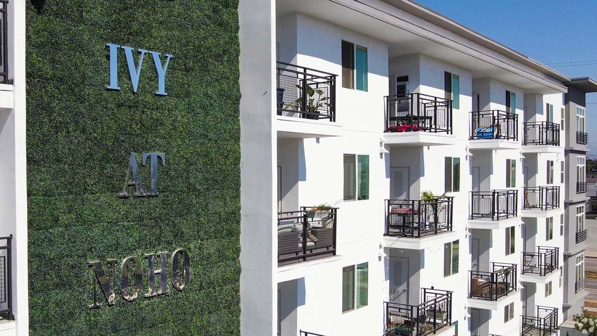 The Ivy Photo Gallery