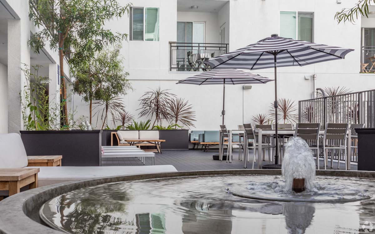 The Ivy Photo Gallery