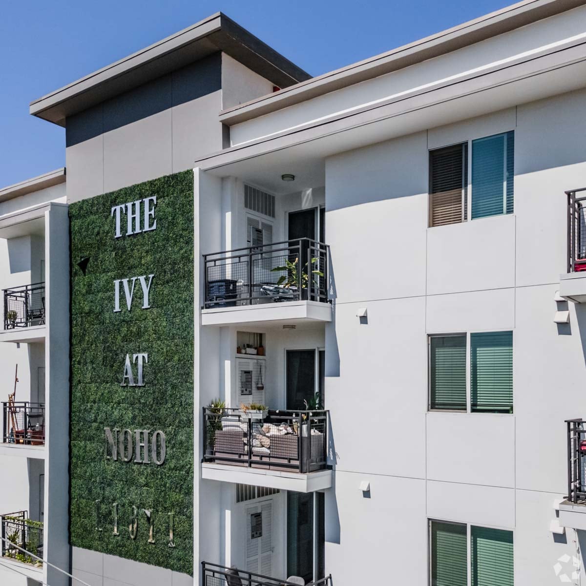 The Ivy Photo Gallery