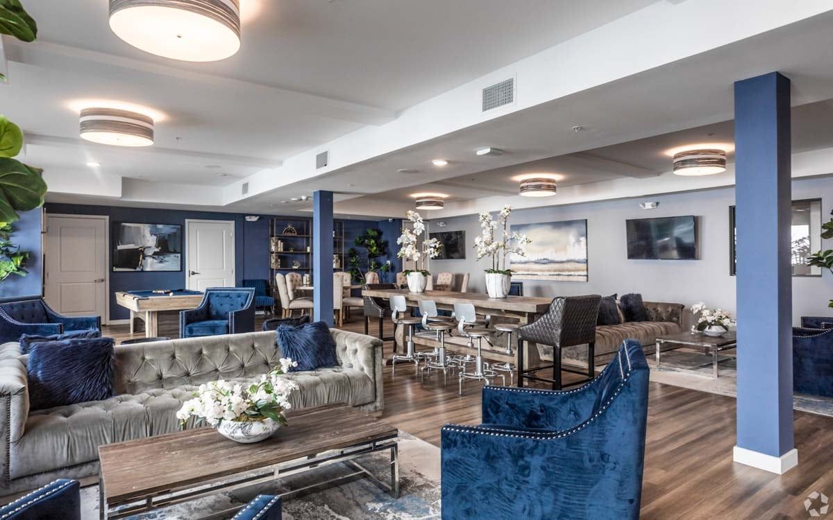 The Ivy Photo Gallery