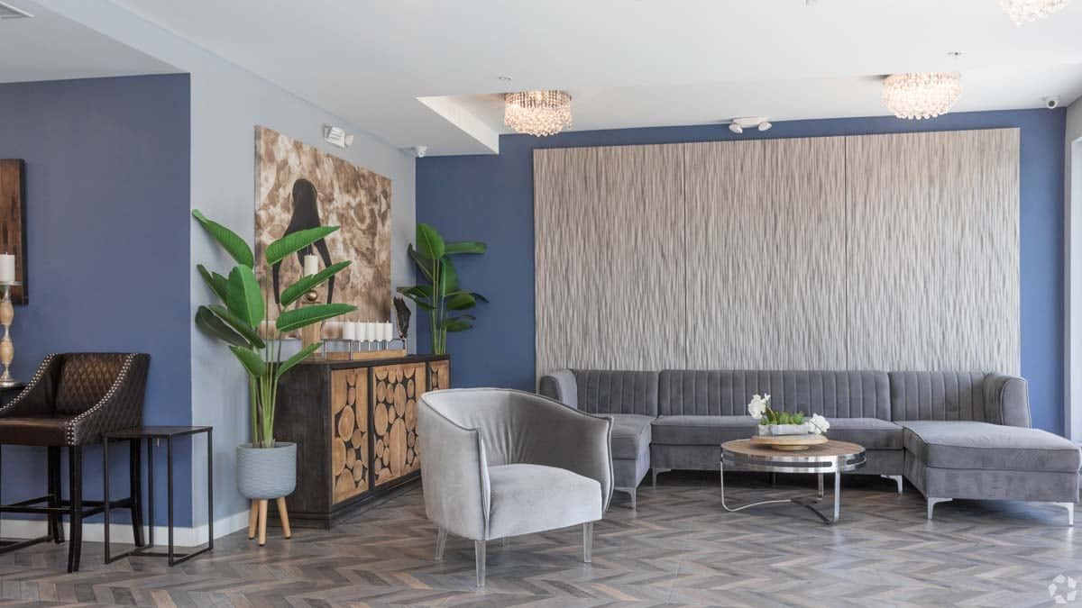 The Ivy Photo Gallery