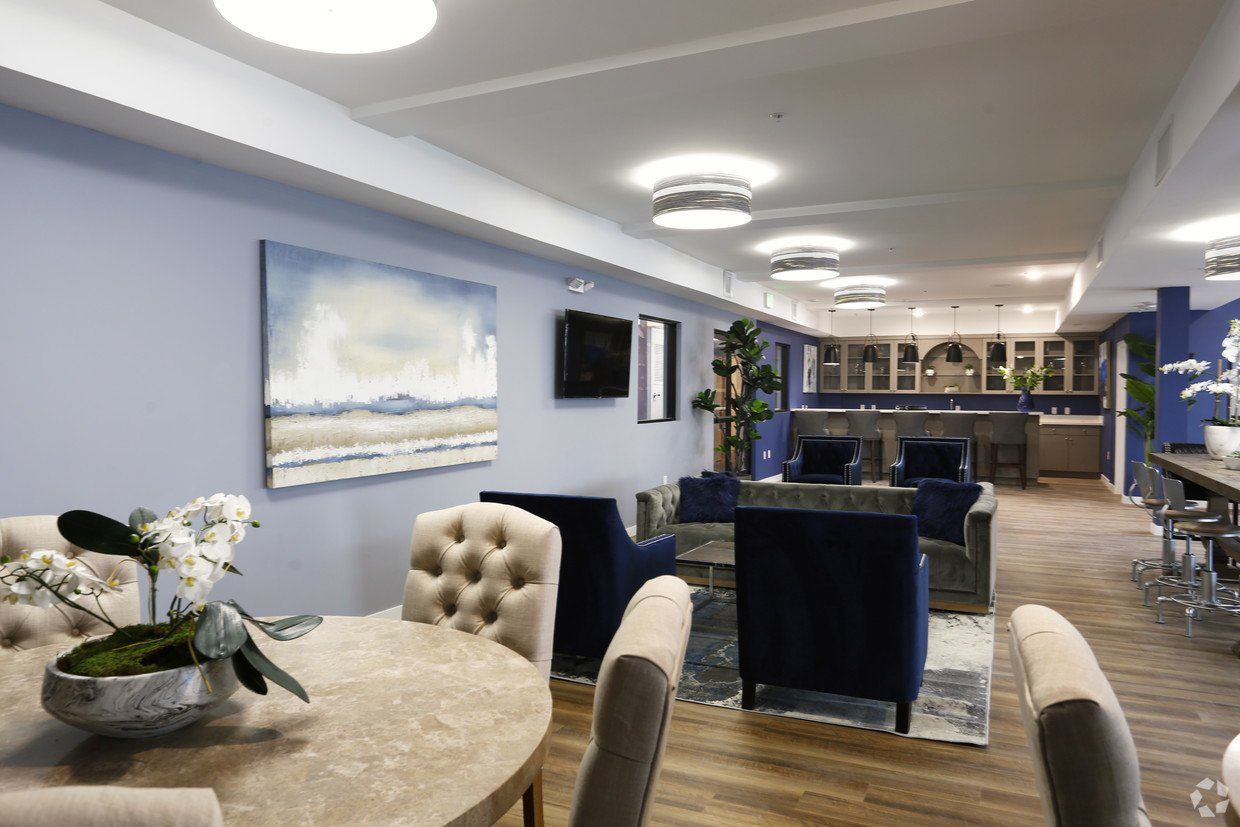 The Ivy Photo Gallery