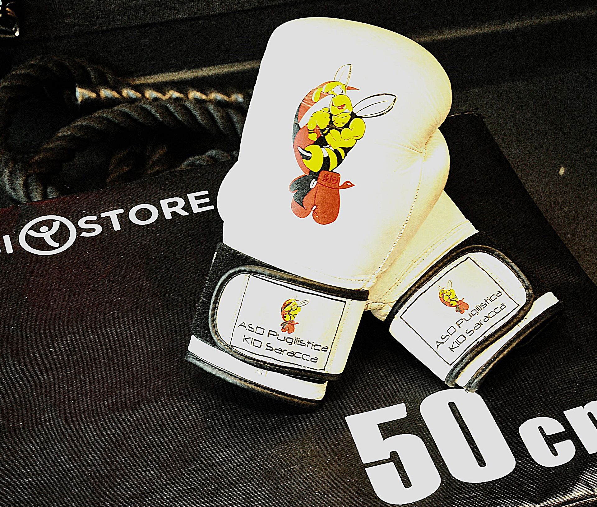 Un paio di guantoni da boxe appoggiati su un materassino da 50 libbre