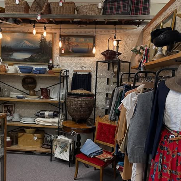 Interior of a vintage shop with shelves of goods, clothes on racks, and hanging lights.