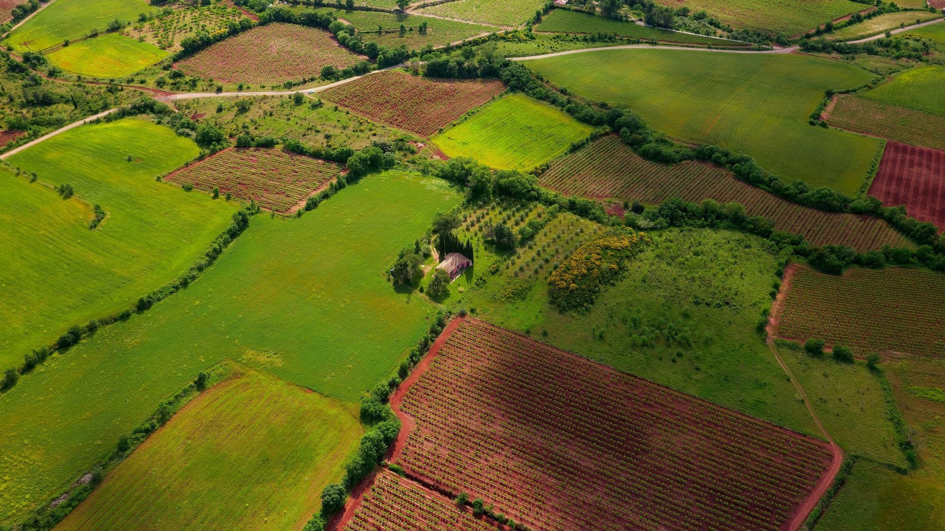 An aerial view of a lush green field with a house in the middle.