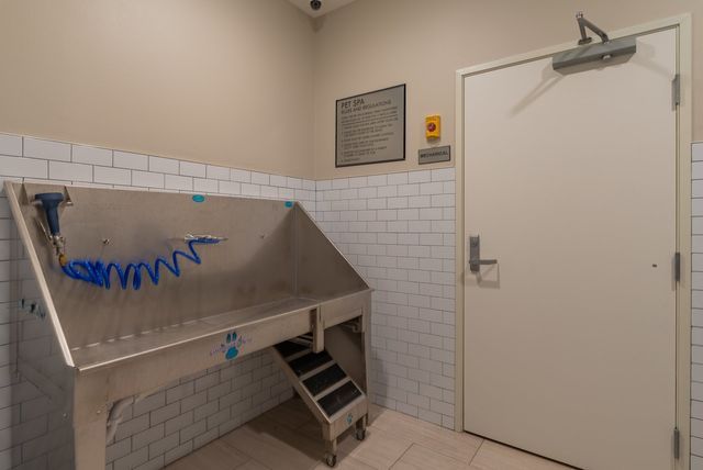 cottage grove dog bath