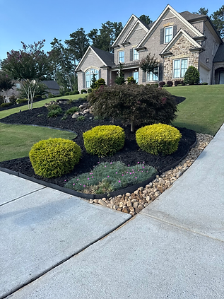 A landscaped front yard with a two-story brick house. Yellow shrubs, black mulch, and tan rocks border the sidewalk.