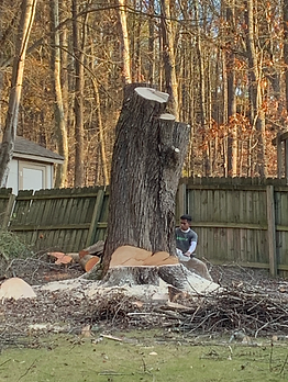Man near a large tree stump after cutting. Brown tree, wood fence, white building in the background.