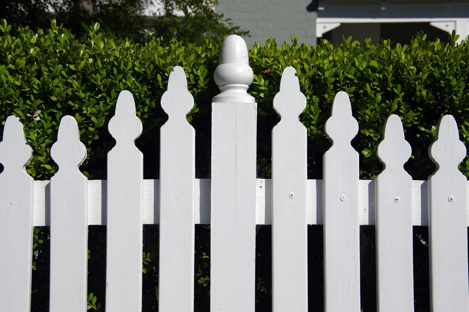 White picket fence with decorative finials against a green hedge.