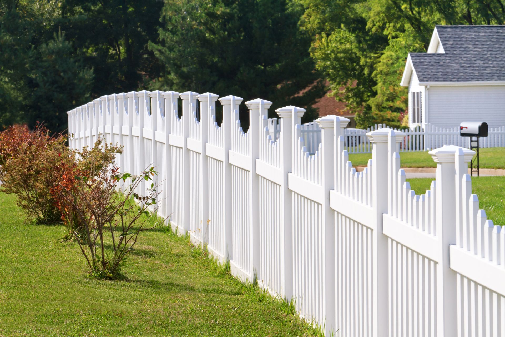 White picket fence bordering a green lawn, red bushes, and a house with a mailbox on the right.