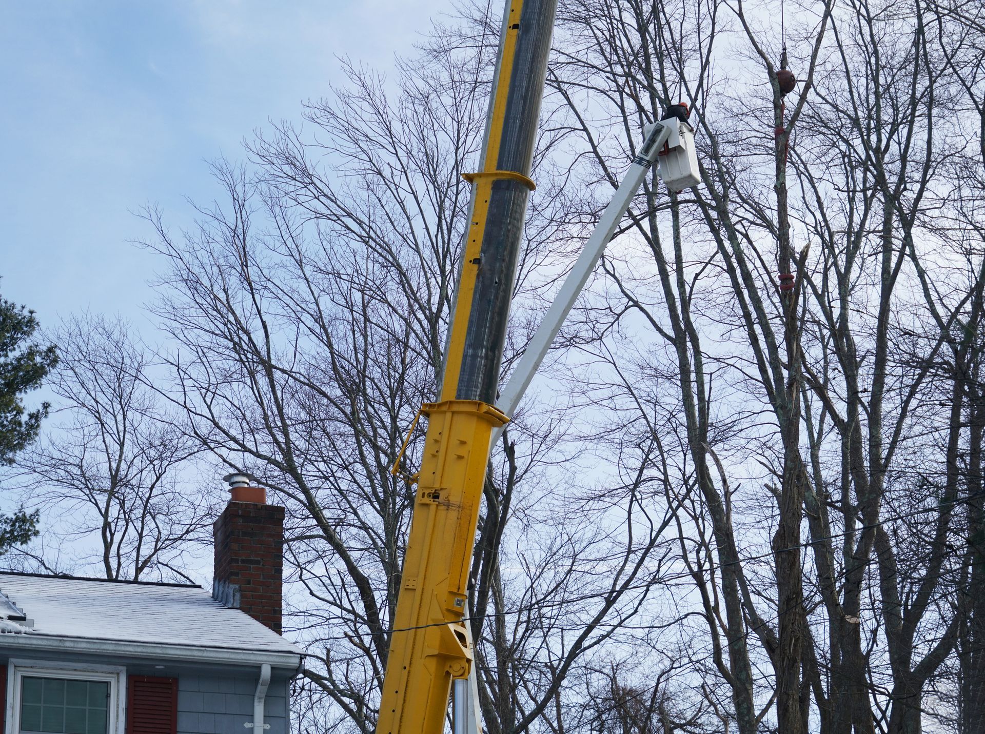 Yellow lift truck trimming tree branches; snow on roof, winter setting.