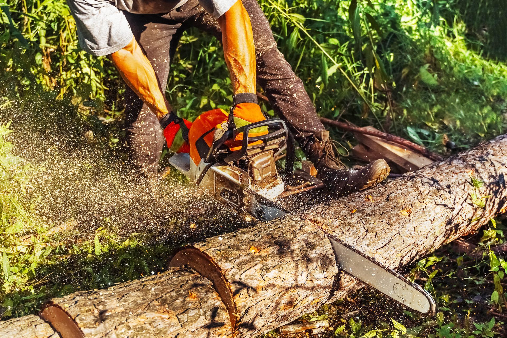 Person using a chainsaw to cut through a log outdoors; sawdust flying.