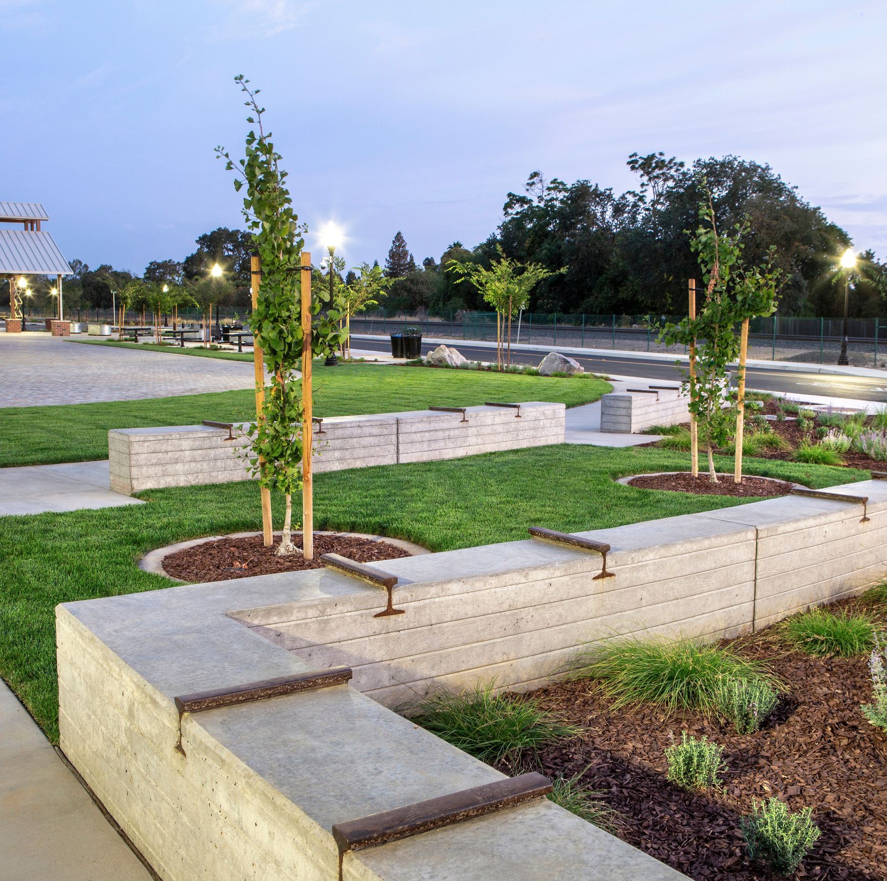 Concrete benches and small trees in a park, with green grass and mulch. Dusk setting.