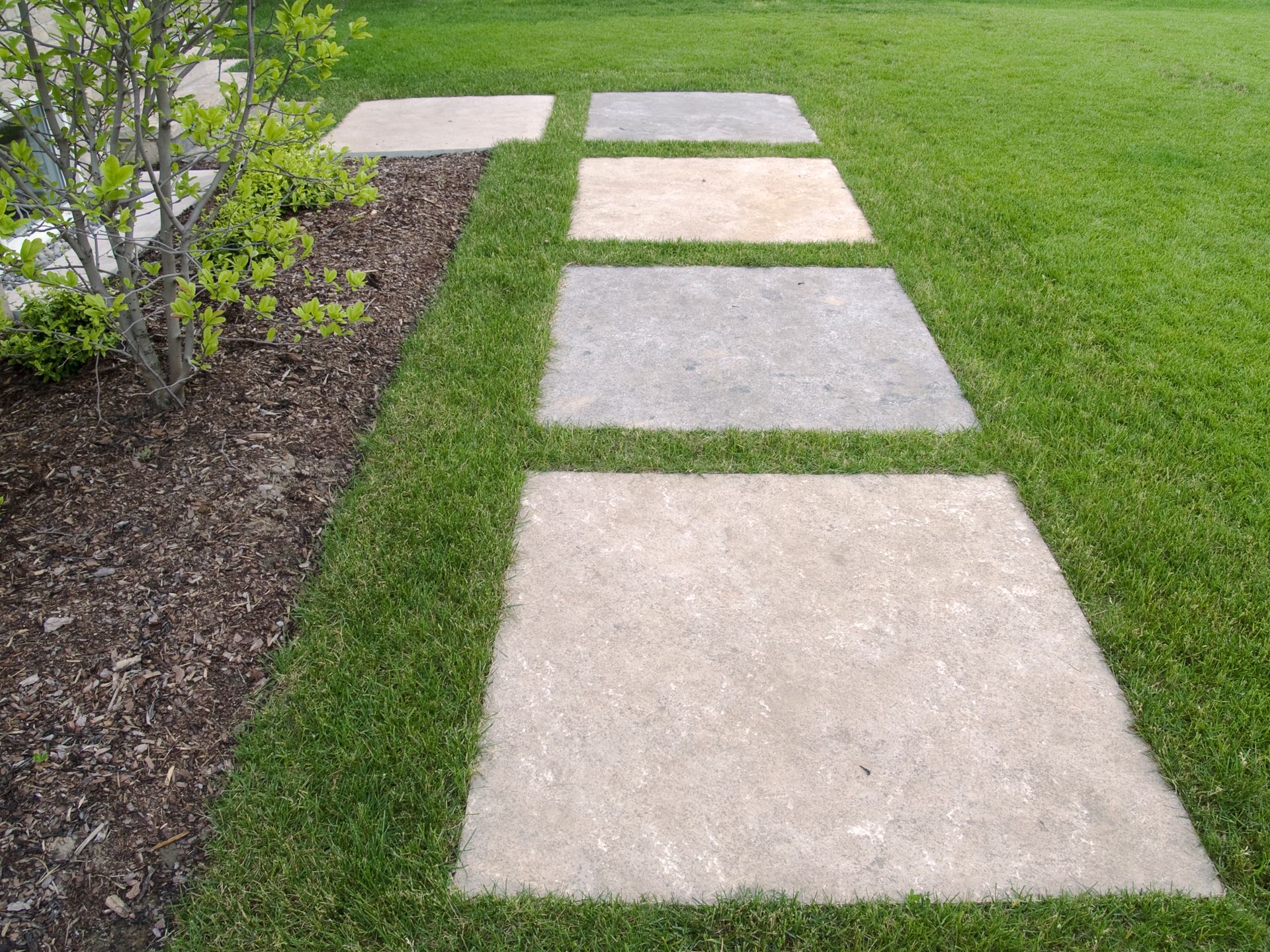 Stone stepping stones in a grassy yard, next to a mulch bed with a small green bush.