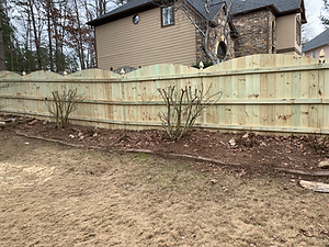 Wooden fence with scalloped top, bordering a yard with brown mulch and bare bushes.