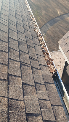 Brown roof shingles with a gutter filled with fallen leaves.