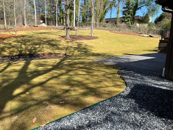 Green lawn with gravel pathway. Trees in background, sunny outdoor setting.