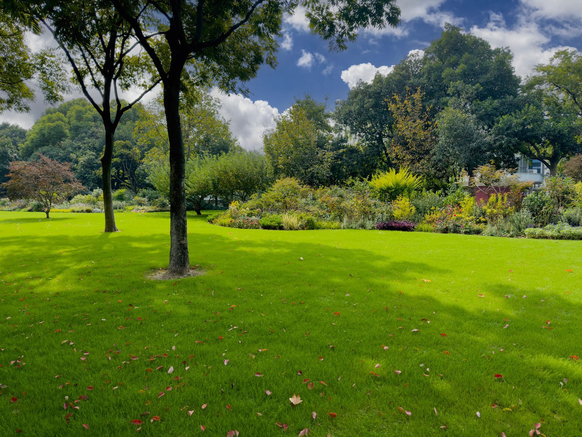 Lush green lawn with trees and shrubs under a cloudy blue sky.