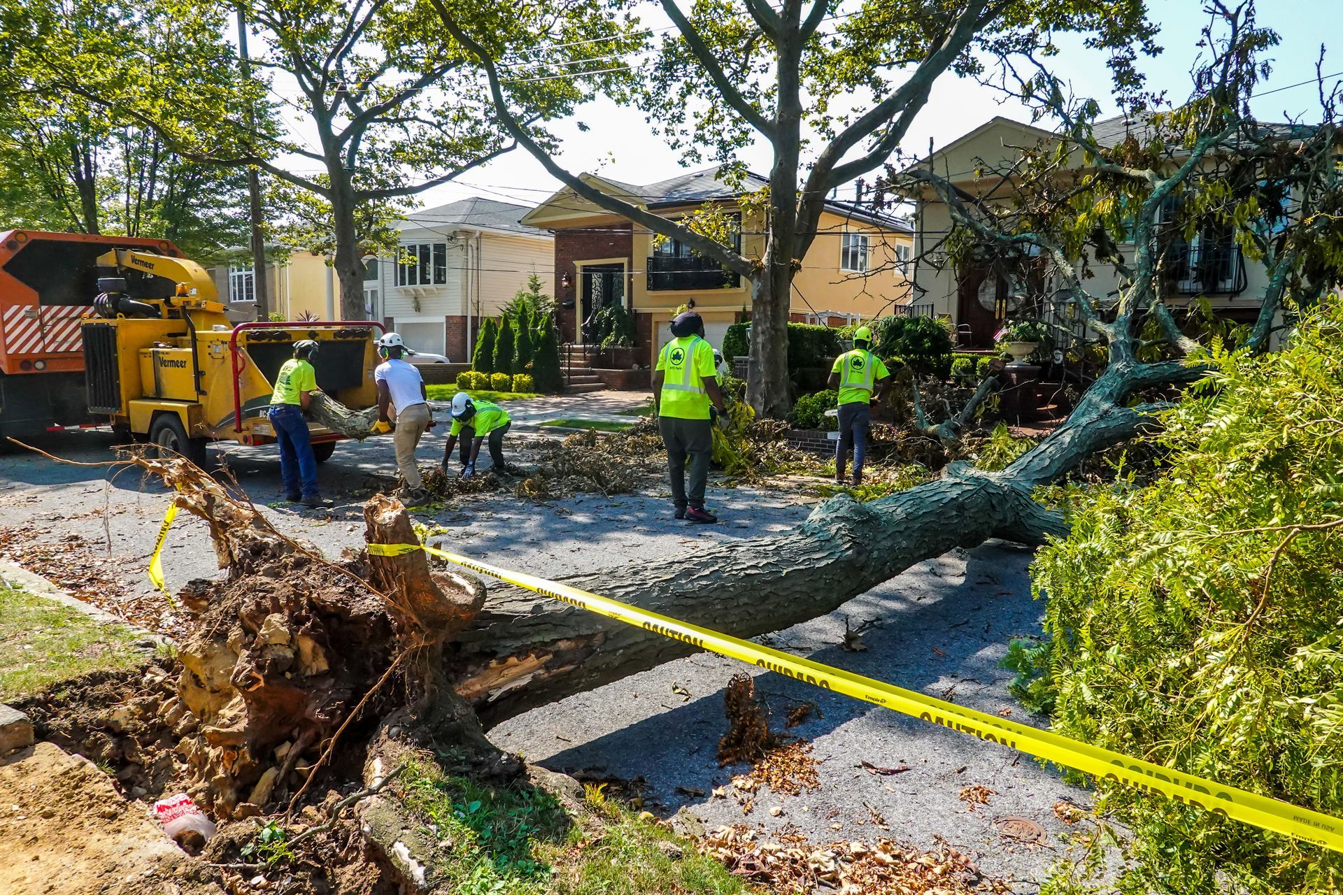 Cleaning Fallen Trees