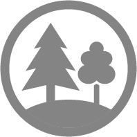 pine tree icon