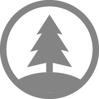 pine tree icon