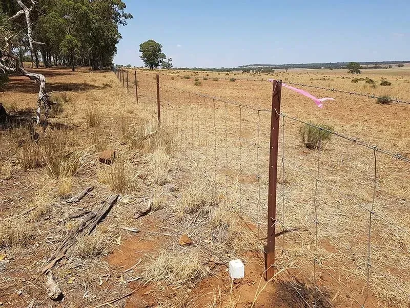 There Is A Fence In The Middle Of A Dry Field — Western Survey Pty Ltd In Dubbo, NSW