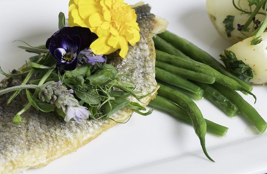 A white plate topped with a piece of fish and green beans