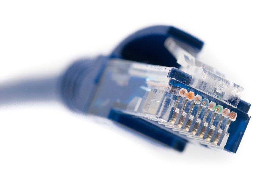 A close up of a blue ethernet cable on a white background
