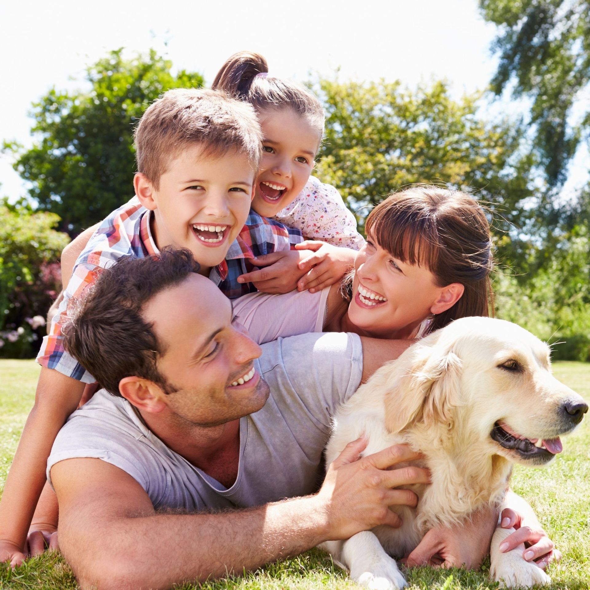 Professional Touch Carpet Upholstery Cleaning - A family is laying in the grass with a dog
