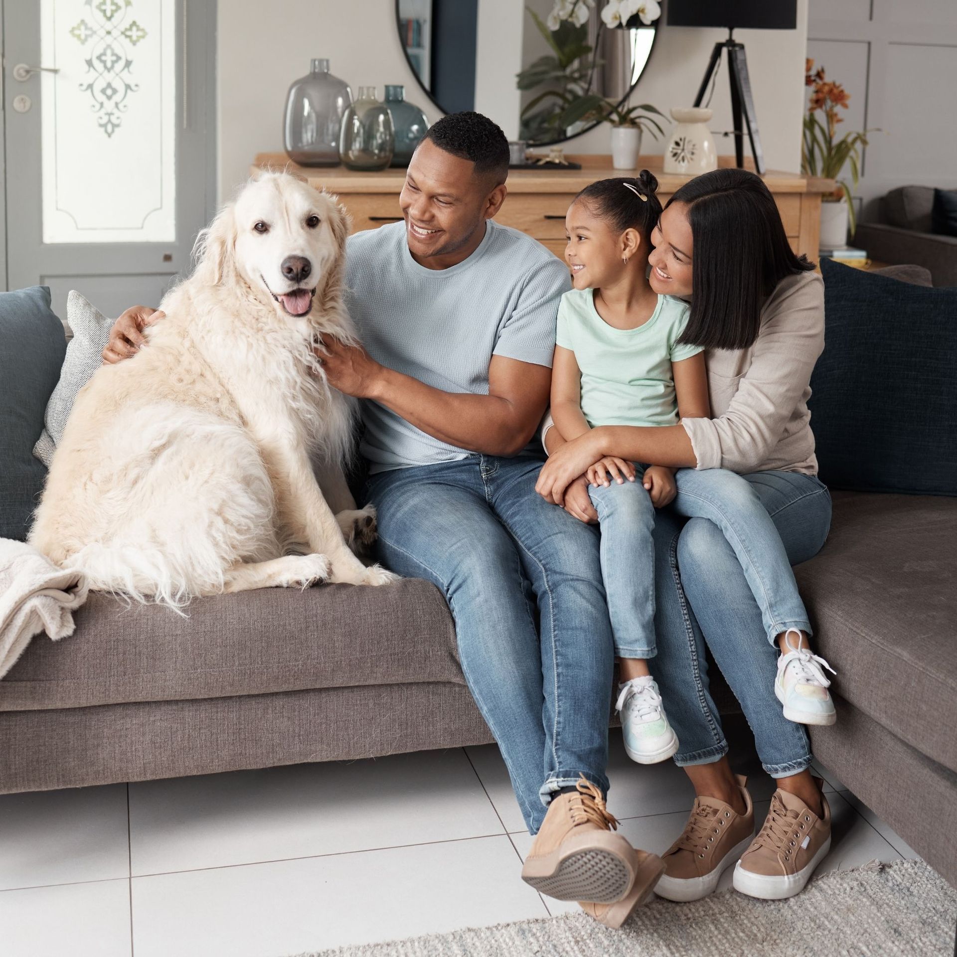 Professional Touch Carpet Upholstery Cleaning - A family is sitting on a couch with a dog