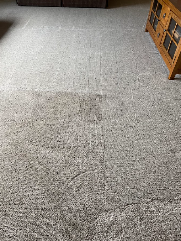 Professional Touch Carpet Upholstery Cleaning - A living room with a carpeted floor and a wooden cabinet.