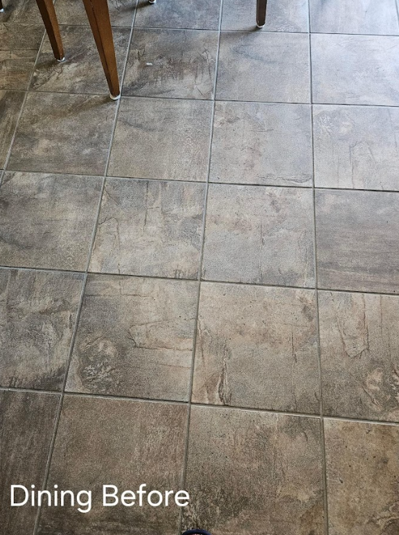 Professional Touch Carpet Upholstery Cleaning - A picture of a dining room floor before being cleaned