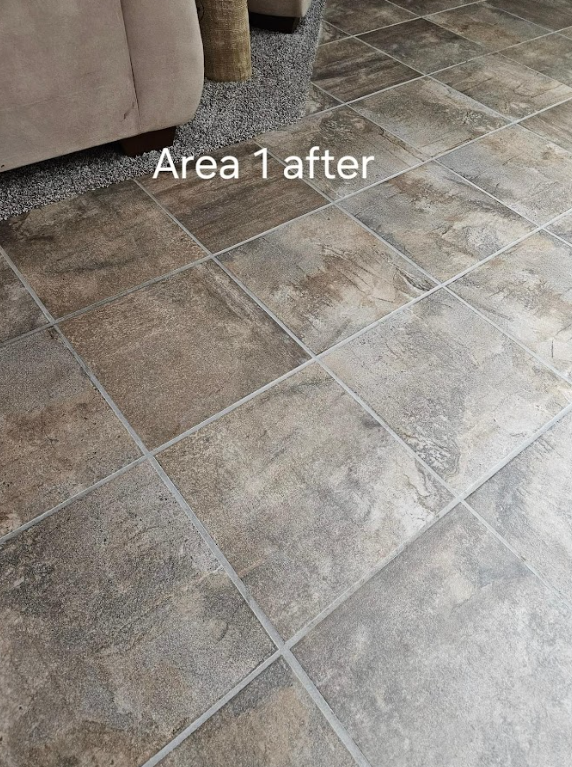 Professional Touch Carpet Upholstery Cleaning - A living room with a tile floor and a couch.