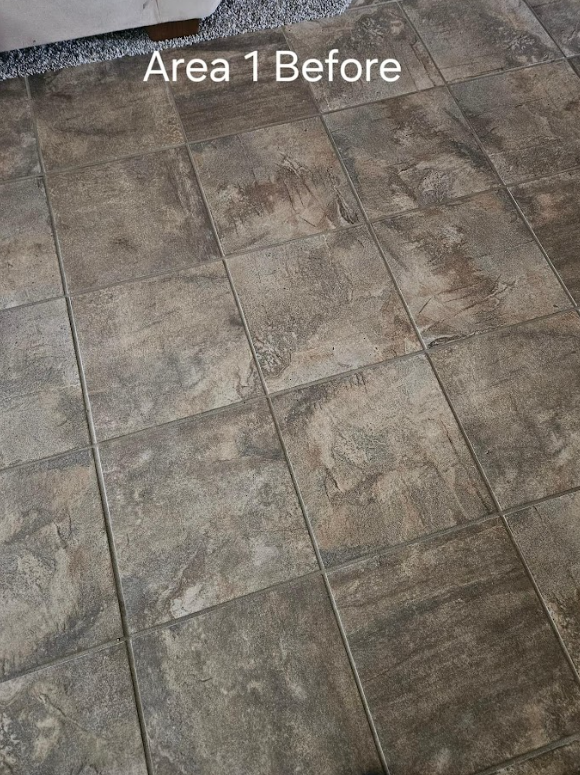 Professional Touch Carpet Upholstery Cleaning - A picture of a tile floor before being cleaned.