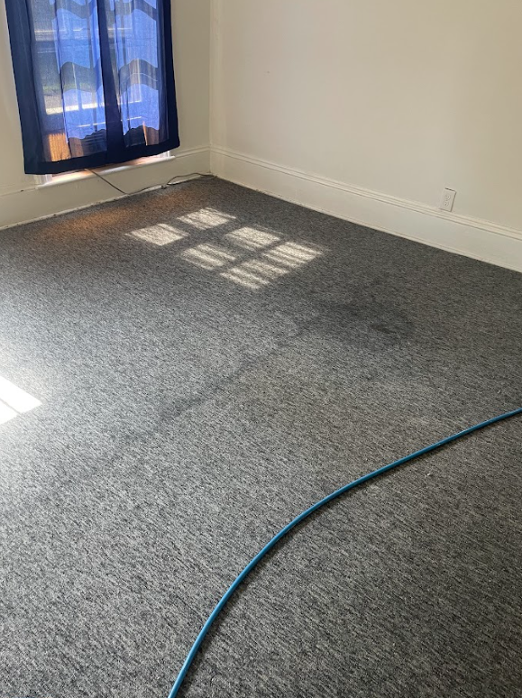 Professional Touch Carpet Upholstery Cleaning - A room with a gray carpet and a blue hose in it.