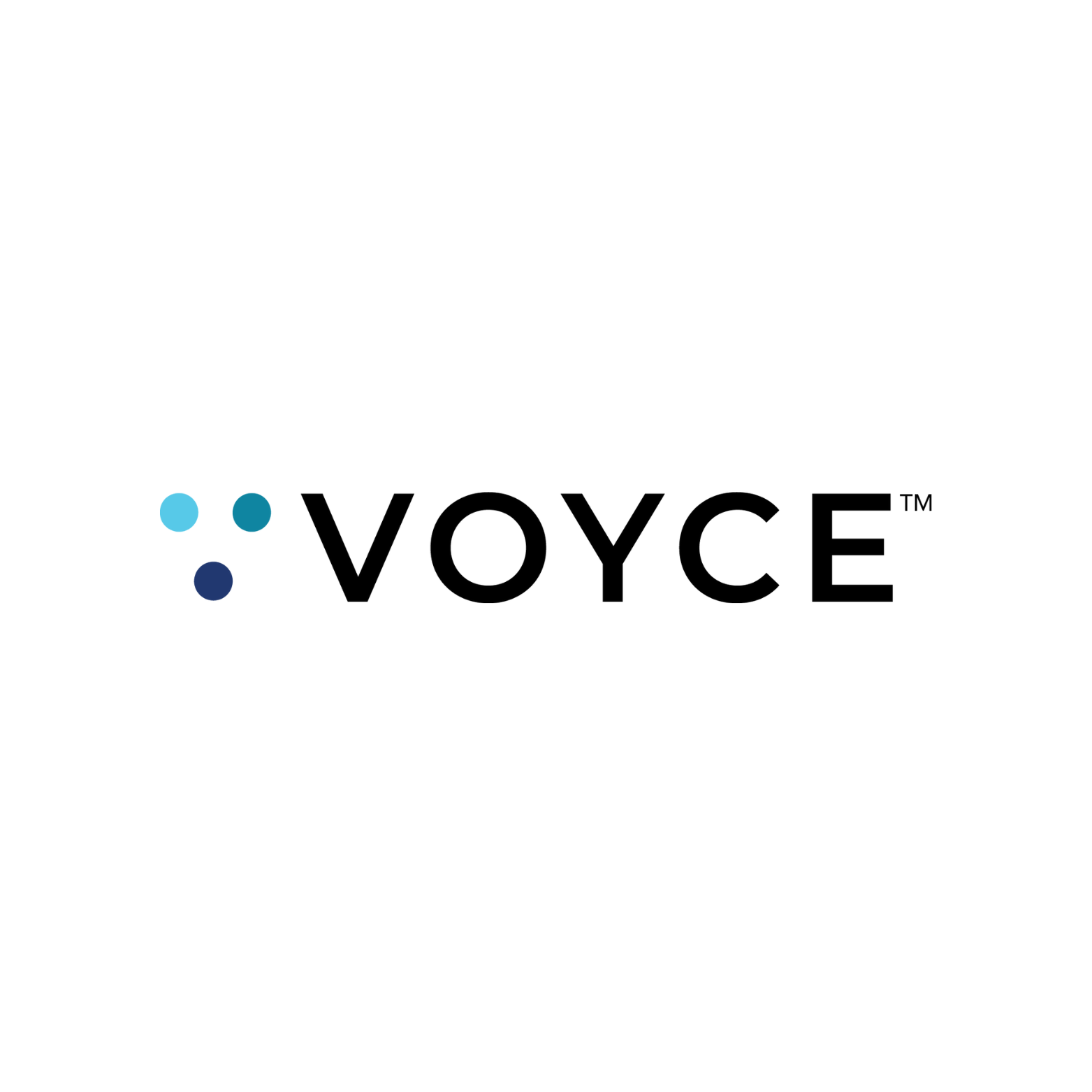 Logo of Voyce: black text with the word