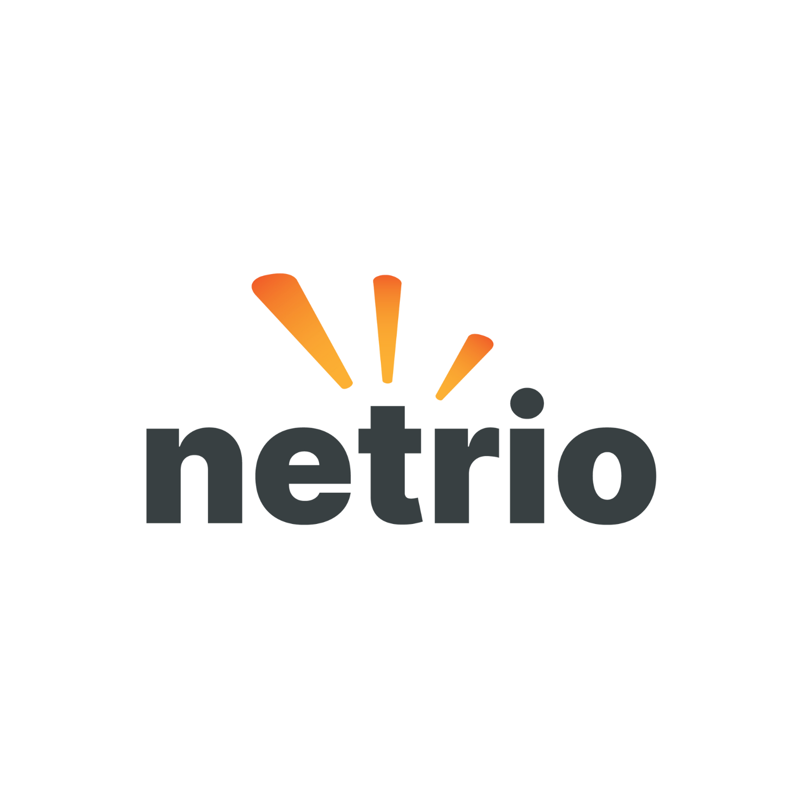 The Netrio logo features dark gray text