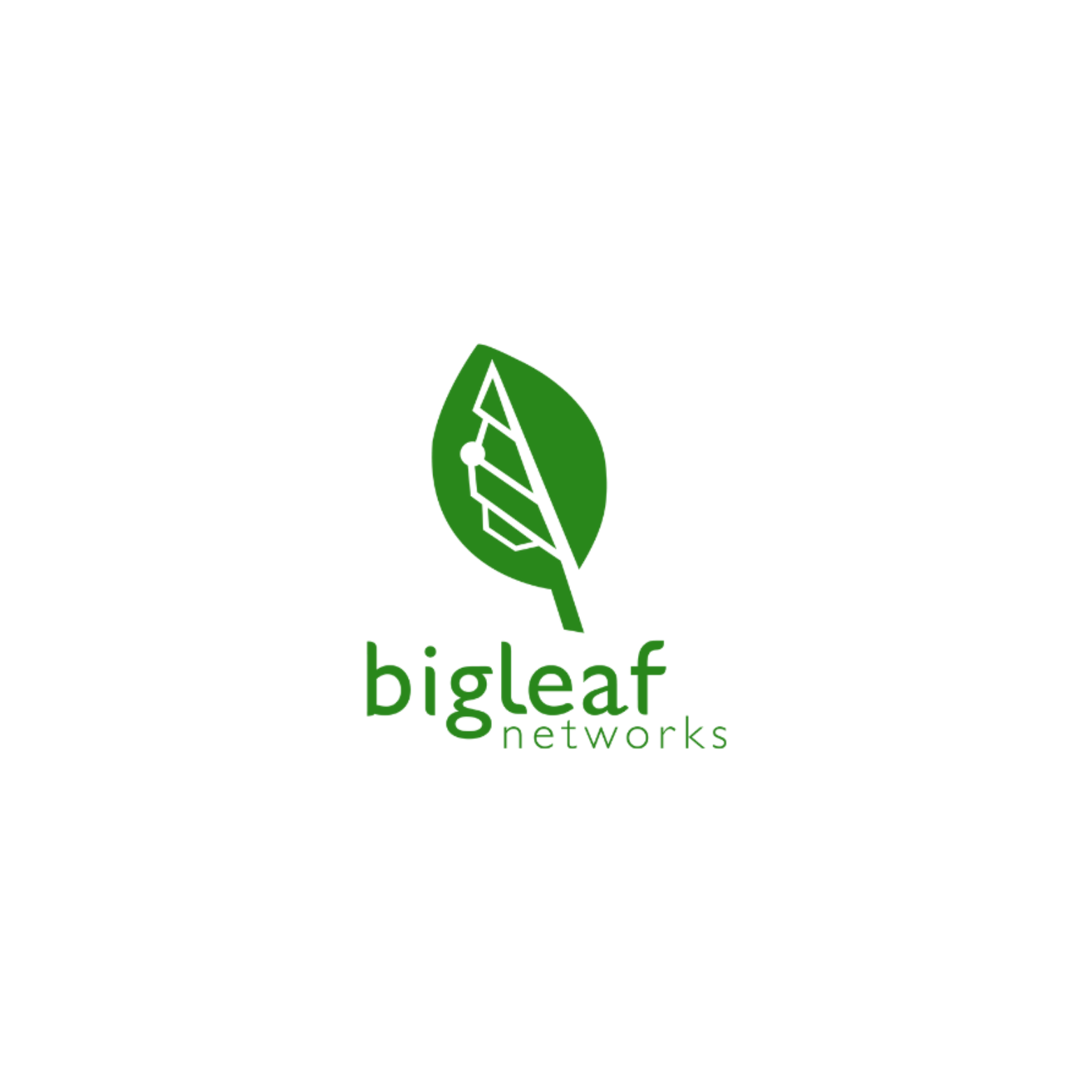 Green leaf logo for Bigleaf Networks; white stem with a few white dots. The company name is in a smaller font below.