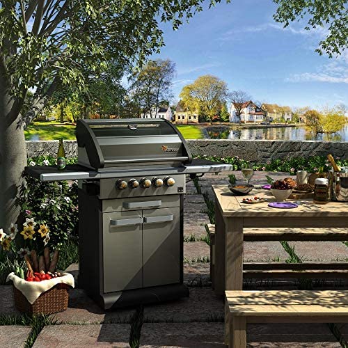 Un barbecue à gaz en acier inoxydable est installé sur une terrasse en pierre, à côté d'une table de pique-nique en bois donnant sur un lac et des maisons.