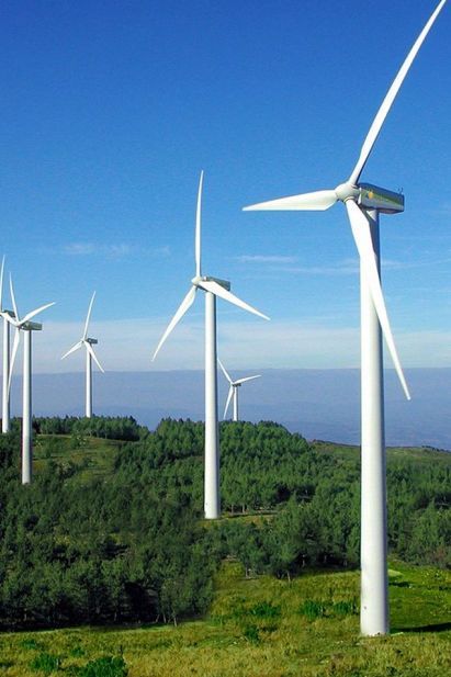 parques eólicos