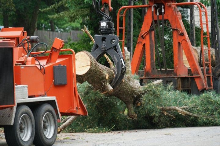 Orange wood chipper with crane arm grabbing a tree branch on a street.