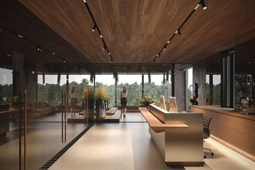 Beautiful House With Plants And Good Lighting — Residential Electrician In Wagga Wagga, NSW