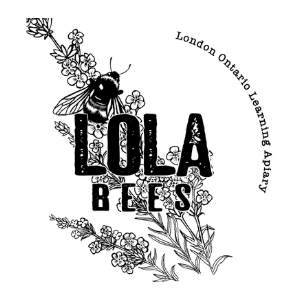 Drawing of a honey bee landing on some lavender with the words printed over: LOLA BEES.