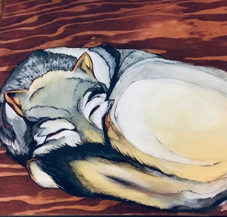 Painting of a wolf curled up sleeping on a wooden canvass.