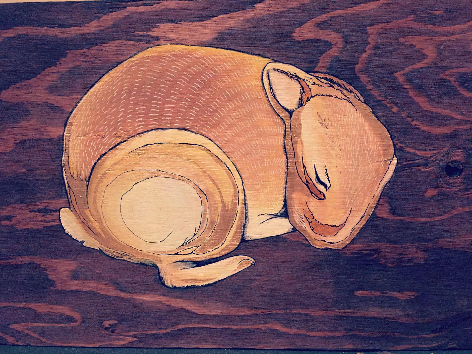Painting of a baby bunny curled up sleeping on a wooden canvass.