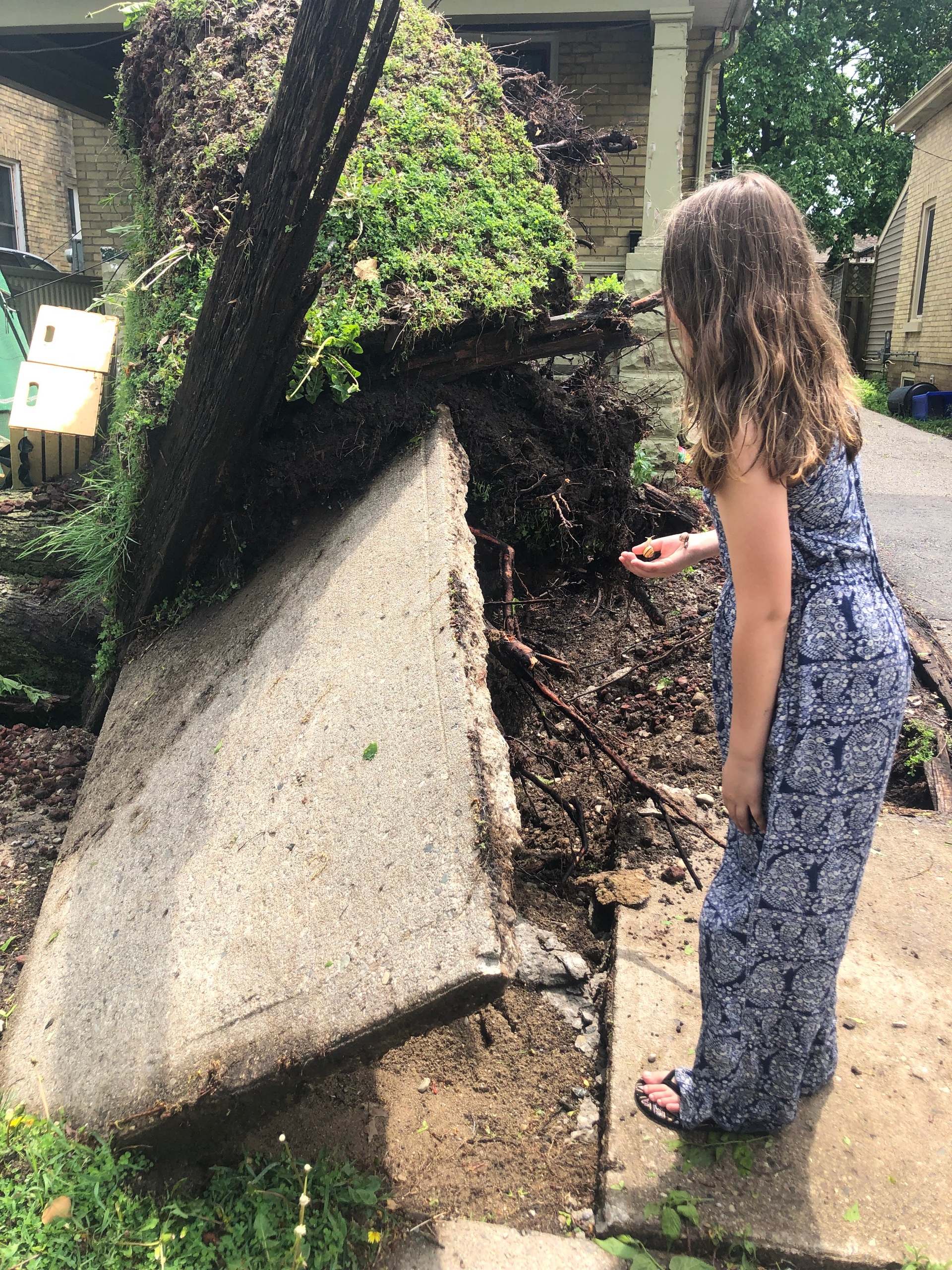 Child holding a snail amidst uprooted land and tree roots after a tornado/derecho.