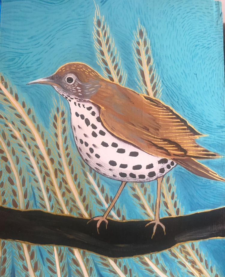 A wood thrush bird, brown and grey with speckles on his belly, standing atop a branch with reeds in the background and a light blue background.