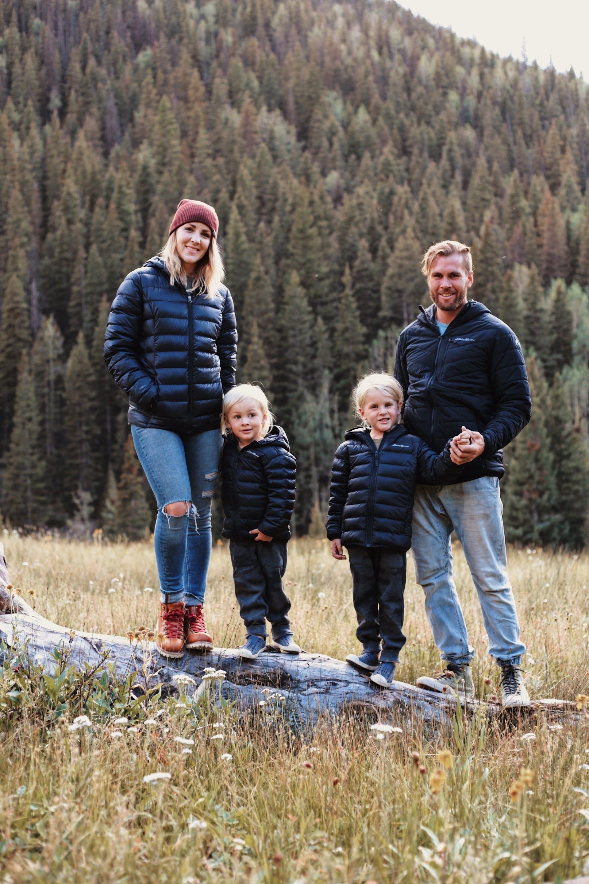 A family is standing on a log in a meadow.