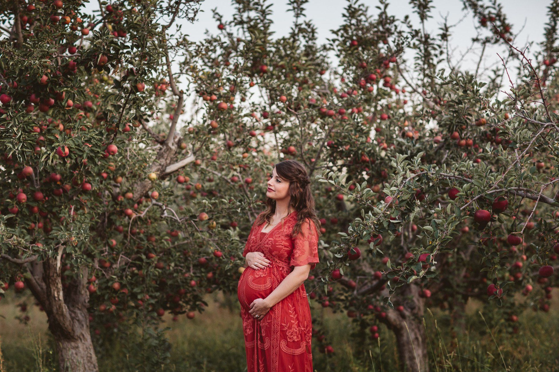 A pregnant woman in a red dress is standing in a field of apple trees.